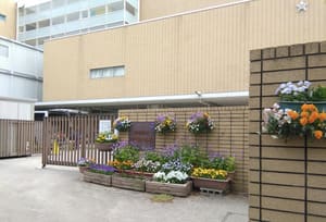 小池百合子の出身小学校は芦屋市立岩園小学校