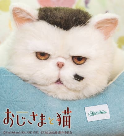 おじさまと猫』が嫌いな人多数！？お涙頂戴ストーリーや擬人化が無理 